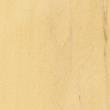 Hornbeam