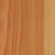 Larch